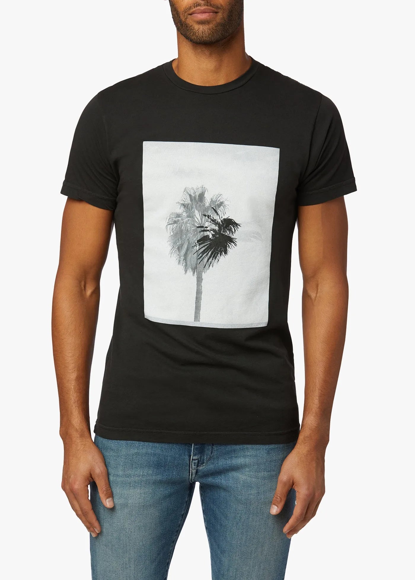 FADING PALM CREW NECK TEE - JOE´S JEANS