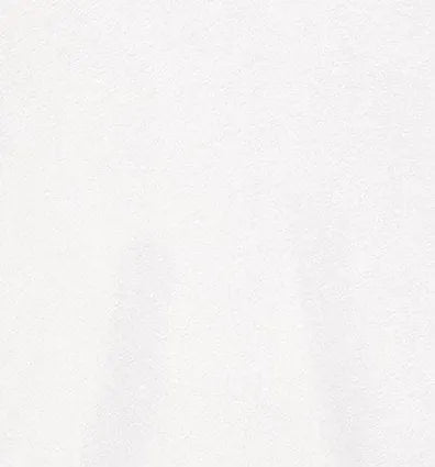rebel tee - JOE´S JEANS